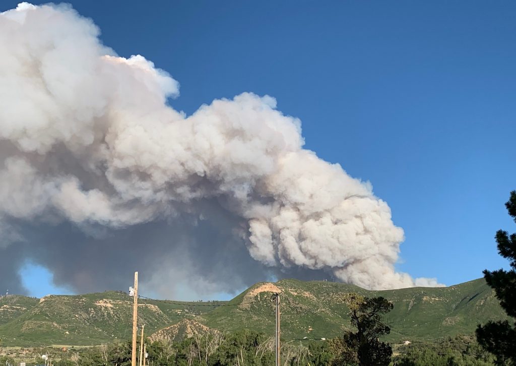 Office of Emergency Management